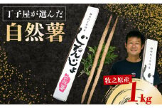 074-3　【R7年12月上旬からの発送】　丁子屋が選んだ 自然薯 台地のご馳走 1kg 新鮮 健康 長寿 とろろ 静岡県 牧之原市 ヤマゴ増田製茶