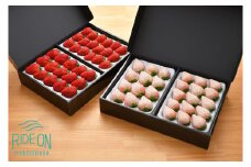 115-1 いちご 紅ほっぺ 白いちご 計 800g 計 4 パック 高級 紅白 イチゴ 苺 セット Sweet milk berry 各 1 パック 各 200g フルーツ 果物 ストロベリー 産地直送 国産 スイーツ デザート くだもの 畠農宝 静岡県 牧之原市