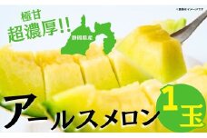 060-2　《数量限定50個》夏の王様！一果穫りの贅沢果実【アールスメロン１玉セット】※ギフト箱入り