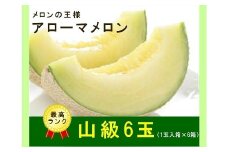 013-22　最高級 温室 アローマメロン 山級 6玉 甘い ギフト贈答に ジューシー メロン