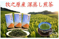 098-9 【令和7年5月より新茶出荷】 牧之原産 深蒸し 煎茶 「赤富士」３本セット お茶 茶 深蒸し 煎茶 旬 日常 のし 熨斗 贈答 ギフト 静岡県 牧之原市 澤田行平商店