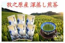 098-10 【令和7年5月より新茶出荷】 牧之原産 深蒸し煎茶「白富士」６本 セット お茶 茶 深蒸し 煎茶 旬 日常 のし 熨斗 贈答 ギフト 静岡県 牧之原市 澤田行平商店