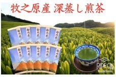 098-13 【令和7年5月より新茶出荷】 牧之原産 深蒸し 煎茶 「赤富士」10本 セット お茶 茶 深蒸し 煎茶 旬 日常 のし 熨斗 贈答 ギフト 静岡県 牧之原市 澤田行平商店