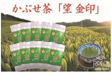 098-14 【令和7年5月より新茶出荷】 牧之原 かぶせ茶「望」10本 セット お茶 茶 深蒸し 煎茶 旬 日常 のし 熨斗 贈答 ギフト 静岡県 牧之原市 澤田行平商店