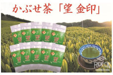 【 令和7年 5月 より 新茶出荷 熨斗対応可能 】 牧之原 かぶせ茶「望」10本 セット お茶 茶 深蒸し 煎茶 深蒸し茶 新茶 しんちゃ 緑茶 旬 日常 のし 熨斗 贈答 ギフトプレゼント お中元 お歳暮 お祝い 敬老の日 茶葉 おちゃ ちゃ 冷茶 高品質 高級 牧之原茶 牧之原お茶 静岡茶 静岡お茶 牧之原産 牧之原緑茶 静岡緑茶 国産 産地直送 農家直送 静岡県 牧之原市 澤田行平商店