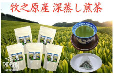 098-15 牧之原産 深蒸し茶 ティー バッグ 「富士美人」5袋 セット お茶 茶 旬 日常 のし 熨斗 贈答 ギフト 静岡県 牧之原市 澤田行平商店