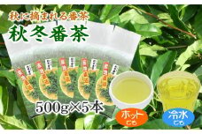 038-13　秋冬番茶　500ｇ×5本