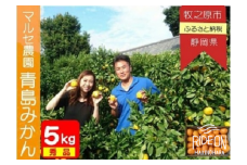 013-57　マルセ農園 とってもあまい 青島みかん 秀品 5キロ 甘い 濃い