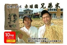 013-56 【新米】【9月中旬以降発送】エコファーマー 認定 赤堀園の兄弟の想いが入った兄弟米 ひとめぼれ 10キロ