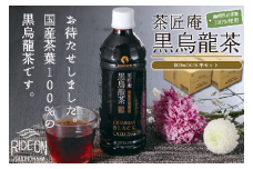 静岡県産 黒烏龍茶 計48本 500ml × 24本 2ケース ペットボトル 黒ウーロン茶 国産 ポリフェノール配合 いなば園 ウーロン茶 烏龍茶 うーろんちゃ お茶 茶 ティー おちゃ tea ペットボトル飲料 箱 ケース 備蓄 脂肪 ポリフェノール 健康 ダイエット 食事のお供 常温 常温保存 国産烏龍茶 安心 安全 おすすめ 人気 牧之原茶 静岡茶 牧之原烏龍茶 静岡烏龍茶 牧之原市 静岡県