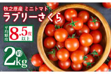 ミニ トマト フルーツ トマト ラブリーさくら うまたま 予約 受付 2kg 1kg × 2箱 国産 野菜 フルーツ 甘い 静岡県 牧之原市 山本農園