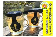 013-60　ふじのくに新商品コレクション 最高金賞受賞 ハニーボーイ 国産 はちみつ 2種類セット オシャレ 小瓶 百花蜜 ハチミツ 厳選 河村養蜂