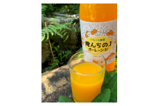 012-8　【プリミアム　クラフトジュース】俺んちのＪオーレーンジ　1000ml×2本　オレンジジュース　無添加　テロワール　美容と健康に