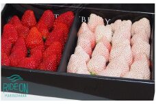 115-3  いちご 紅ほっぺ 白いちご 計 1.26kg 以上 高級 紅白 イチゴ 苺 セット Sweet milk berry  各630g以上 フルーツ 果物 ストロベリー 産地直送 国産 スイーツ デザート くだもの 畠農宝 静岡県 牧之原市