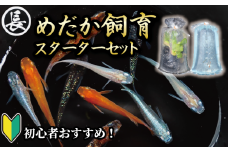 129-1 魚介 魚類 魚 めだか 飼育 スターター セット 初心者 おすすめ 水槽 インテリア 生物 鑑賞 美 静岡県 牧之原市 丸長
