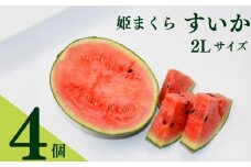 すいか 2Lサイズ 4個入 スイカ 西瓜 令和7年度産 姫まくら 果物 フルーツ 数量限定 夏 新鮮 贈答用 お中元 プレゼント 産地 直送 牧之原市 静岡県 福代農園