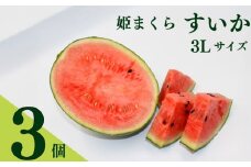 すいか 3Lサイズ 3個入 スイカ 西瓜 令和7年度産 姫まくら 果物 フルーツ くだもの デザート おやつ 甘い ジューシー 数量限定 期間限定 夏 新鮮 旬 旬の果物 贈答用 お中元 プレゼント ギフト 新鮮 美味しい 果汁 おすすめ お取寄 お取寄せフルーツ 国産 人気 産地直送 農家直送 静岡すいか 静岡スイカ 静岡西瓜 牧之原すいか 牧之原スイカ 牧之原西瓜 牧之原市 静岡県 福代農園