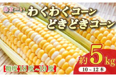 【予約受付令和8年6月から発送開始】 とうもろこし 野菜 スイーツ わくわくコーン どきどきコーン 10 ～ 12 本 約 5㎏ 糖度18 ~ 19度 予約受付 予約 甘い あまい レジャー キャンプ コーン 美味しい おいしい 野菜 バーベキュー BBQ 産地直送 新鮮 生鮮 食品 おやつ 送料無料 期間限定 数量限定 限定 もろこし スイートコーン 静岡県 牧之原市 もろこしショップ ぐりぱ