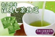 137-1 深蒸し茶 特選5本+包装袋2枚 お茶 茶 緑茶 煎茶 茶葉 日用品 日常品 一服 ひといき 静岡県 牧之原市 マルイ伊藤製茶
