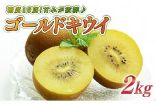 キウイ 2kg フルーツ 果物 スイーツ ゴールド キウイ きうい ゴールド キウイ 産地直送 くだもの デザート ギフト プレゼント 贈答 国産 落合農園 静岡県 牧之原市