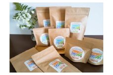 056-10　【ティーバック＆粉末茶】深蒸し茶（一番茶のみ使用！）＆ほうじ茶満喫セット