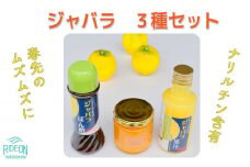 012-17　いたくら農園　じゃばら　おすすめ3点 抗アレルギー  ポン酢 果汁 
 