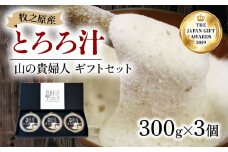 ギフト 仕様 冷凍 自然薯 とろろ汁 山の貴婦人 300g × 3個 パック セット とろろ 山芋 ヤマイモ 山いも じねんじょ 滋養強壮 お取り寄せ ギフト グルメ 贈答 人気 静岡県 牧之原市 尾白弁当
