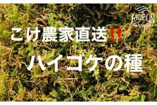 【こけ専門 農家直送】 ハイゴケの種5L 苔玉用 ハイ ゴケ の種 苔玉 コケ こけ苔 こけだま 苔だま コケダマ コケ玉 苔リウム 苔テラリウム はいごけ ハイゴケ 種 たね 苔の種 インテリア インテリアグリーン 観葉植物 家庭用 簡単 お手軽 自由研究 綺麗 夏休み かんようしょくぶつ ガーデニング がーでにんぐ 園芸植物 しょくぶつ 農家直送 産地直送 牧之原市 静岡県 コケノミウラ