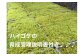説明書付きなので安心