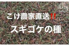 123-9 こけ専門農家直送!!スギゴケの種5L