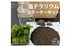 苔 テラリウム スターターキット こけ コケ 農家直送 こけ 専門 農家 直送 静岡県 牧之原市 インテリア 観葉 植物