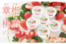 150-3 国産 いちご 章姫 桃薫 煎茶あきひめ ジェラート 12個 アイス フルーツ スイーツ デザート くだもの 果物 ストロベリー 甘い おいしい 濃厚 静岡県 牧之原市 藤田農園