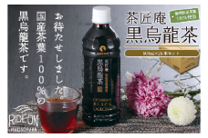 【定期便3か月】静岡県産 黒烏龍茶 500ml × 24本 ペットボトル 黒ウーロン茶 国産 ポリフェノール配合 いなば園 ウーロン茶 ペットボトル飲料 ドリンク 飲料 飲料類 飲み物 飲みもの お茶 おちゃ 茶 烏龍茶 定期便 おいしい 美味しい おすすめ 健康 水分補給 日用品 家庭用 飲料類 備蓄 保管 防災 防災用品 生活必需品 消耗品 備蓄品 熱中症 対策 夏バテ予防 静岡県 牧之原市