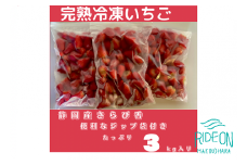 152-1　いちご 冷凍 新鮮 国産 鈴木農園の 冷凍いちご きらぴ香 1kg × 3袋 約3kg フルーツ デザート シャーベット おいしい 甘い 静岡県 牧之原市 鈴木農園