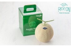 アローマメロン 富士級1.4ｋ 1玉 化粧箱 入り 甘い 高級品 ブランド 機能性表示食品 アローマ メロン 果物 めろん フルーツ デザート ふるーつ くだもの あろーまめろん 美味しい 父の日 母の日 お祝い 贈答用 お中元 プレゼント ギフト 箱付き 産直 産地直送 静岡メロン 静岡めろん 牧之原メロン 牧之原めろん おすすめ 人気 国産 美味しい 牧之原市 静岡 県 牧之原うまいもん食楽部