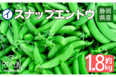 155-2 【期間限定1月～3月発送】牧之原産スナップエンドウ 1.8kg入り