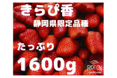 120-9　静岡県限定品種いちご「きらぴ香」たっぷり 1.6kg（800g×2）