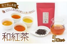 【受賞歴多数】 和紅茶セレクトプレミアムおすすめ5種セット 和紅茶 飲み比べ セット ほうじ香り紅茶 和らぎ香り棒焙煎紅茶 春摘み 夏摘み あかね 紅茶 こうちゃ お茶 茶 茶葉 tea ティー べにふうき 国産紅茶 国産 贈答 プレゼント ギフト お土産 母の日 父の日 お祝い お歳暮 お中元 敬老の日 おすすめ 人気 安心 安全 牧之原台地 牧之原茶 静岡茶 牧之原山本園 静岡県 牧之原市