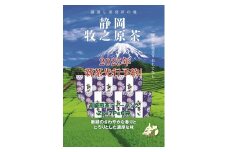 057-5　高級煎茶ティーバッグ