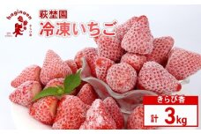 冷凍 いちご 3kg 冷凍 いちご 選べる 容量 期間限定 苺  完熟 きらぴ香 いちご 冷凍いちご きらぴ香 きらぴか 果物 ふるーつ フルーツ 果汁 果実 冷凍食品 冷凍 苺 スイーツ いちご イチゴ ストロベリー デザート フルーツ スイーツ アイス ジャム シャーベット ベリー 氷菓 冷凍 甘い 数量限定 小分け オススメ ギフト 人気 国産 新鮮 農家直送 萩埜園 牧之原市 静岡 県