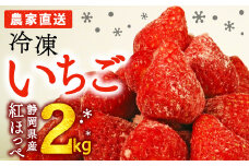 完熟 冷凍 いちご 2kg 一級品 小分け スムージ アレンジ ビタミンC イチゴ 苺 ストロベリー フローズン 保存 苺 いちご ジャム 果物 フルーツ スイーツ デザート おやつ アイス シャーベット ベリー フルーツ大福 いちご大福 氷菓 甘い 完熟 オススメ おすすめ 冷凍いちご 産地直送 くだもの 紅ほっぺ 朝摘み 国産 家庭用 贈答用 贈り物 イチゴイチエ石神農園 静岡県 牧之原市