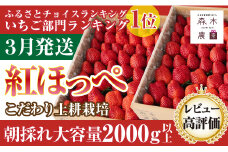 060-21 【3月発送】《土耕栽培だから濃くて甘い》紅ほっぺ合計2000ｇ以上！