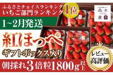 060-17　【1月～2月発送】最高の贅沢をあなたに…森木農園が育てる『大粒紅ほっぺ』４トレイ　合計1800ｇ以上【常温発送】