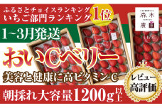 060-15　ビタミンC含有量No.1☆完熟[おいCベリー]400g×3P 　合計1200g以上　※ゆりかごパックでお届け【常温発送】