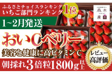060-13　【1月～2月発送】最高の贅沢をあなたに…森木農園の作る『超大粒おいCベリー』４トレイ　合計1800ｇ以上【常温発送】