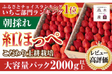 060-9 完熟☆濃く甘 いちご『紅ほっぺ』　合計2000g以上！【常温発送】