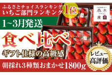 060-5　最高の贅沢を・・・紅ほっぺ(900g)or おいＣベリー（900g)orきらぴ香（900g）のどれか2品種　合計1800g【常温発送】