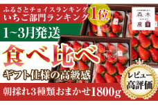 060-5　最高の贅沢を・・・紅ほっぺ(900g)or おいＣベリー（900g)orきらぴ香（900g）のどれか2品種　合計1800g【常温発送】