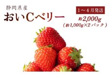【1~4月発送】 おいCベリー 2000g以上 いちご 1000g×2パック イチゴ 冷蔵発送 苺 2kg 土耕栽培 フルーツ 果物 スイーツ デザート朝摘み ストロベリー おやつ 完熟 直送 ギフト 家庭用 贈答用 贈答 ギフト 贈り物 甘い ブランド ジャム アレンジ フルーツサンド 農家直送 ベリー 産地直送 国産 おすすめ 森木農園 静岡県 牧之原市 ~土耕栽培だから濃くて甘い!~