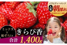 きらぴ香 1400ｇ以上 いちご バラエティー パック 苺 イチゴ ゆりかーご 土耕栽培 フルーツ 果物 スイーツ 朝摘み ストロベリー おやつ 直送 完熟 ギフト 家庭用 贈答 贈り物 ブランド 甘い ジャム アレンジ 農家直送 ベリー 産地直送 国産 おすすめ 森木農園 静岡県 牧之原市 ~土耕栽培だから濃くて甘い!~